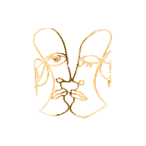 Bracelete Klee